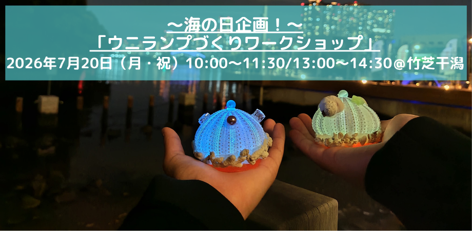 7/20（月・祝）海の日企画！ウニランプづくりワークショップ | 干潟